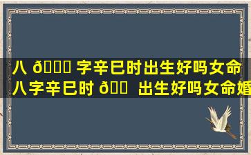 八 🐕 字辛巳时出生好吗女命（八字辛巳时 🐠 出生好吗女命婚姻）